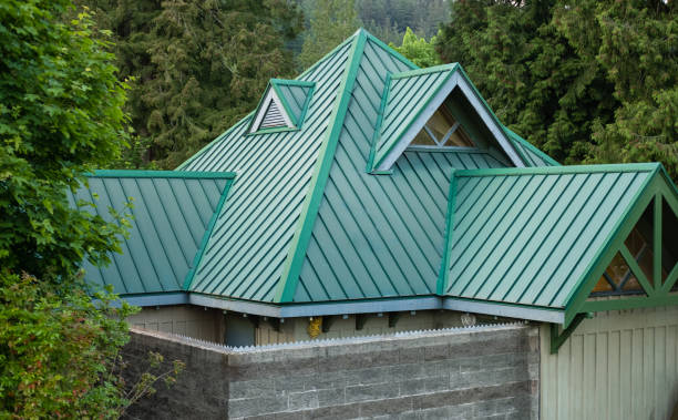 Best Emergency Roof Repair  in Bridgeport, MI