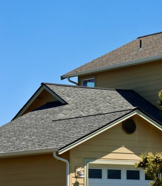 Best Skylight Installation and Repair  in Bridgeport, MI